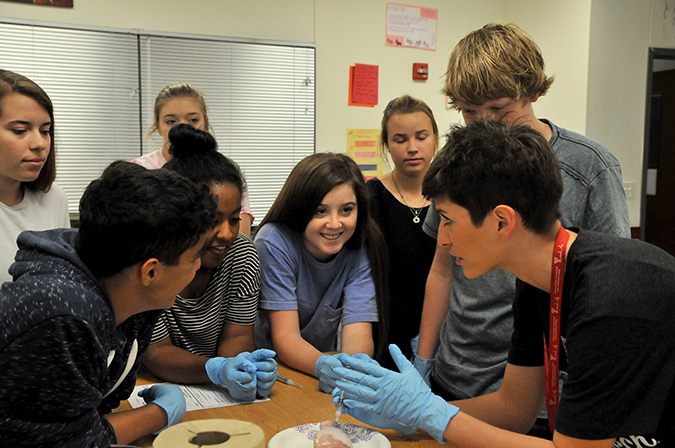 Vandegrift HS: Ag Program