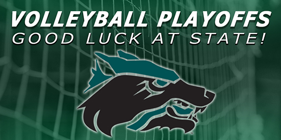 CPHS Volleyball Team Advances to State Tournament