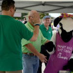 Chick-fil-A cow