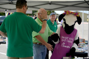 Chick-fil-A cow
