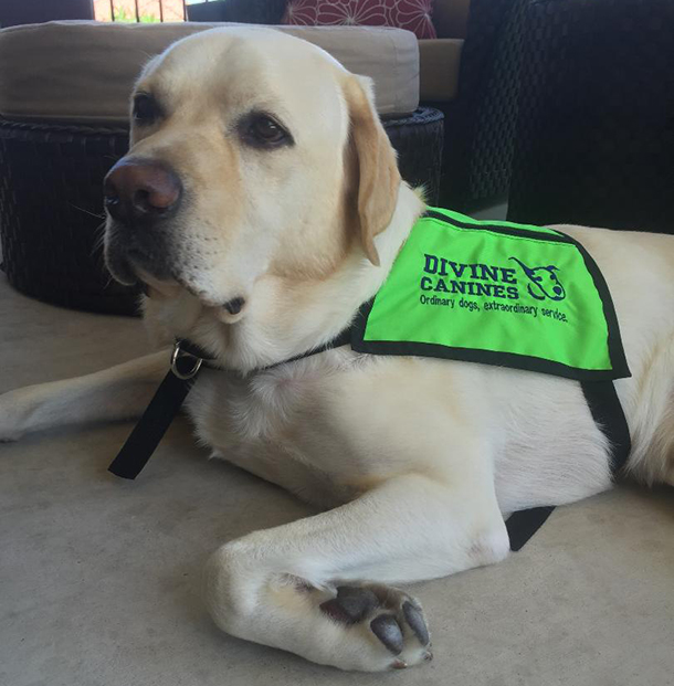 Canyon Ridge MS receptionist overcomes accident, spreads cheer with trusty pup