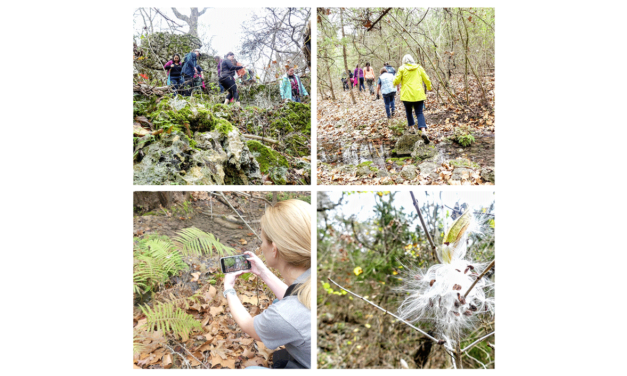 LISD teachers help launch new Geography Outdoor Education program