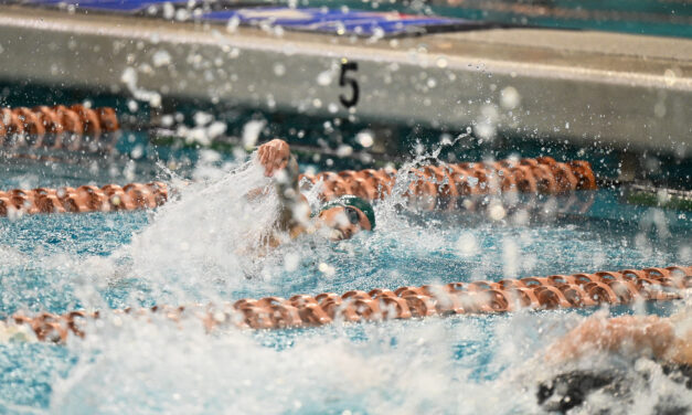 LISD Swimmers and Divers Take Home Gold, Silver and Bronze Medals at State