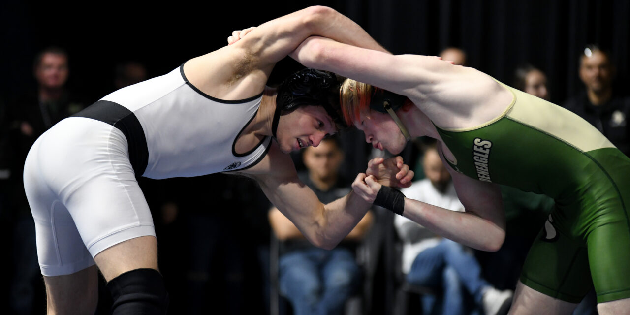 Wrestlers Bring Home State Medals