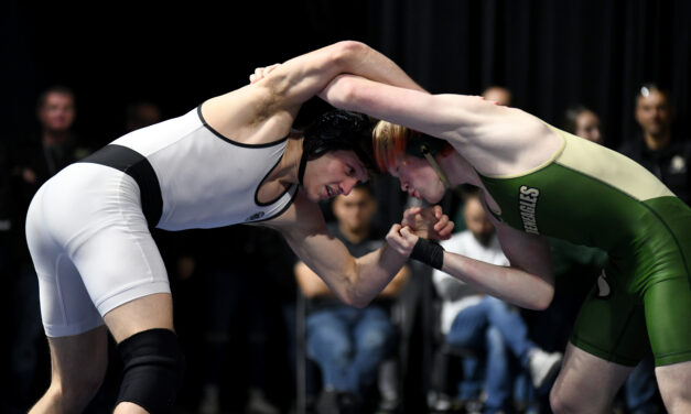 Wrestlers Bring Home State Medals