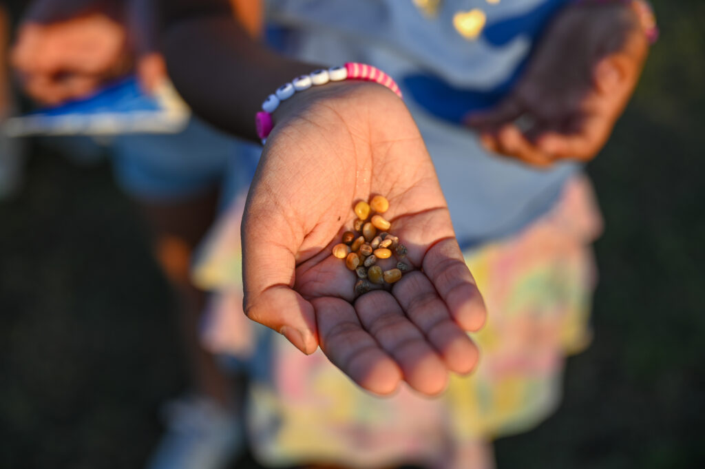 Hand containing seeds