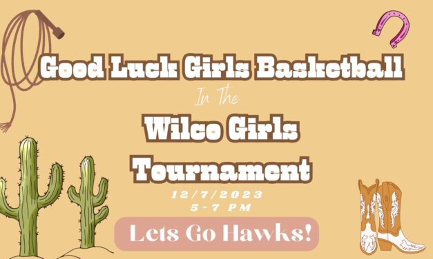 Wilco Girls Basketball Tournament