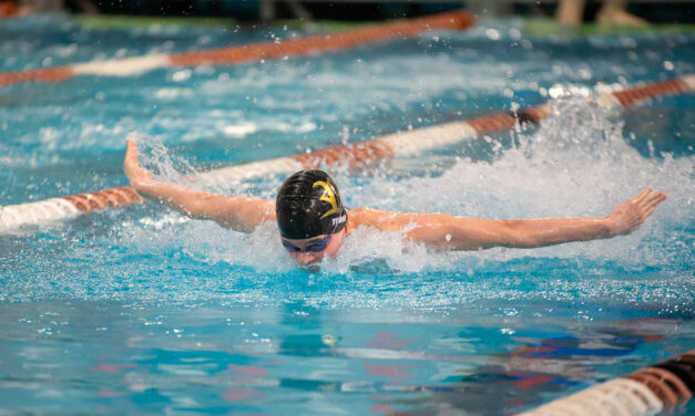 LISD Swimmers Lap Up 5 Silvers, 1 Bronze at State Meet