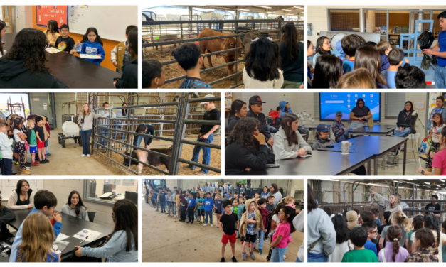 Glenn HS CTE Students Foster Meaningful Collaboration With Whitestone ES Dual Language Learners