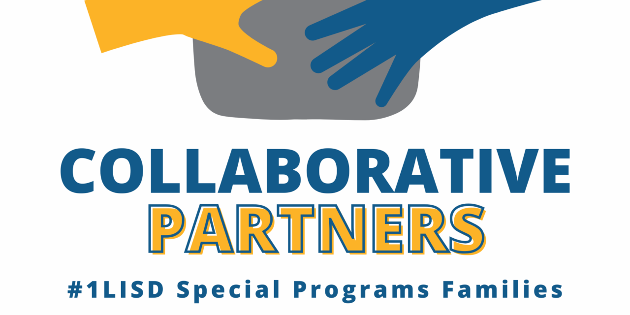 Collaborative Partners: Structured Learning Environments