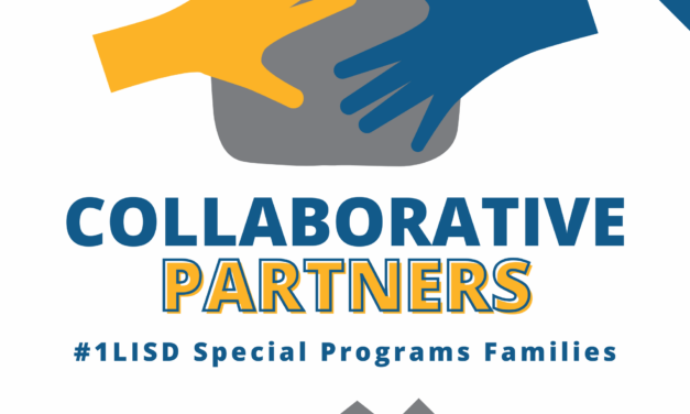Collaborative Partners: Structured Learning Environments